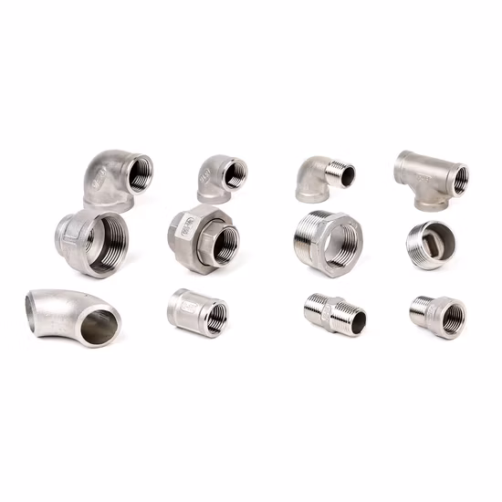 Portagomma filettato/connettore tubo maschio/nipplo per tubo in acciaio inossidabile 304 316 NPT BSPT